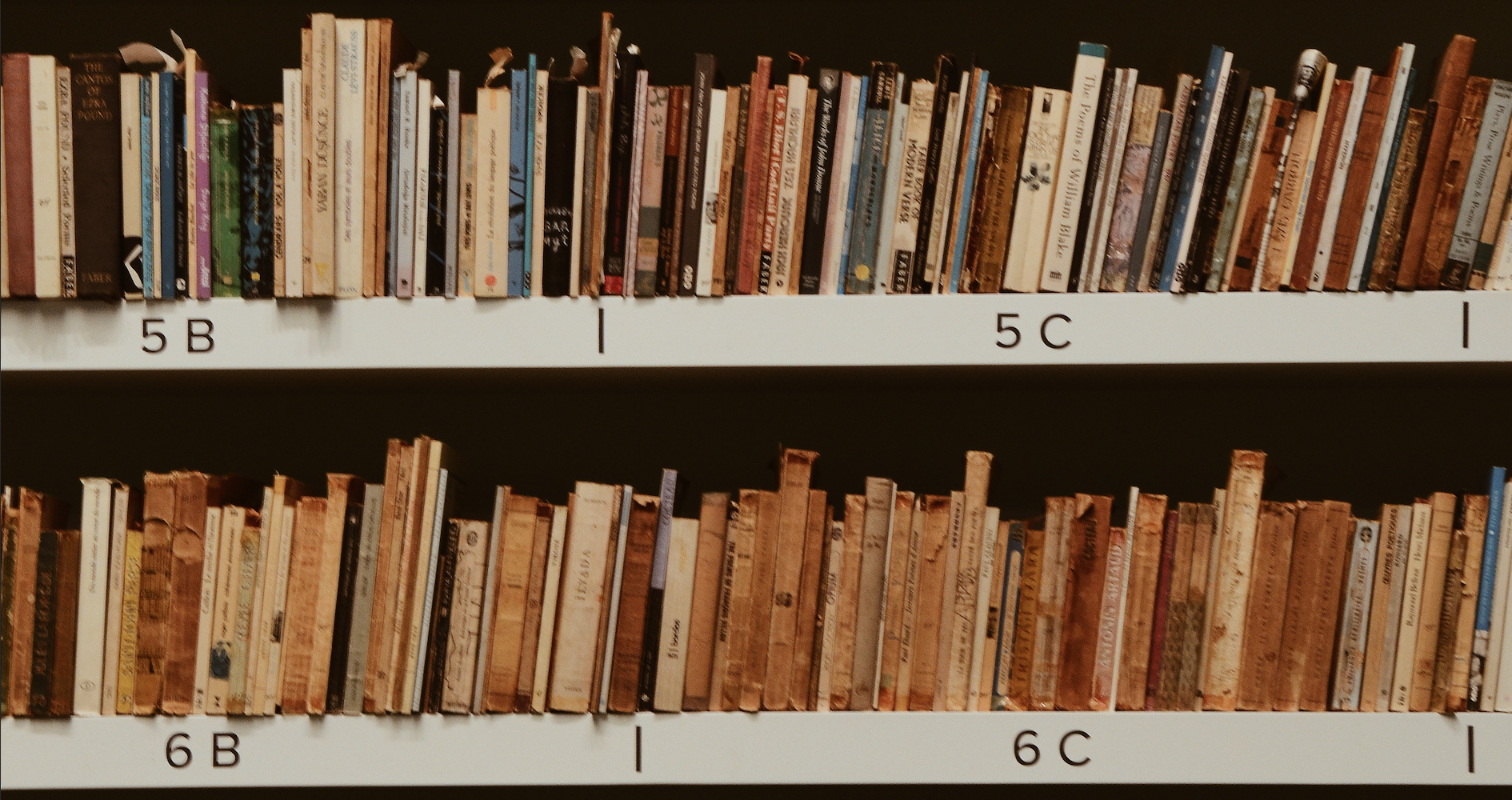 How can I level up my leadership game over the summer? Read a book!